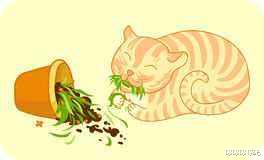 猫咪为什么喜欢吃草？吃了后吐了，正常吗？