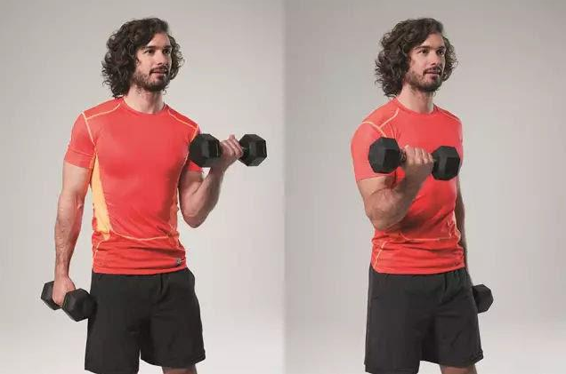 哑铃|如何锻炼结实二头肌？6组哑铃训练二头肌动作教学