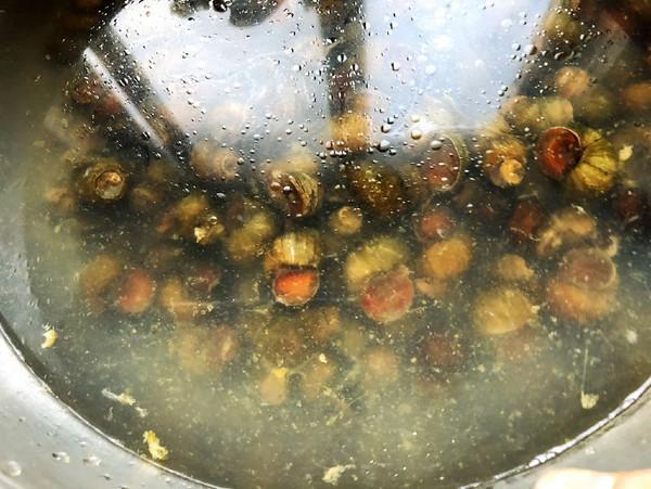 螺蛳|被大家“误解”最深的美食，它的浑身都是宝，比甲鱼营养高
