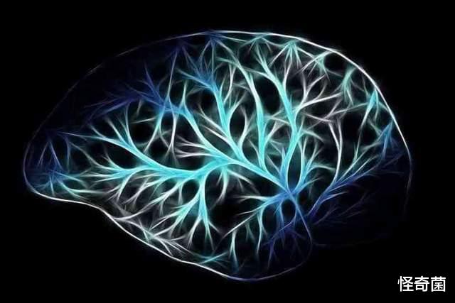 科学家|人类为什么会丢失婴儿时期记忆?看看科学家如何解释