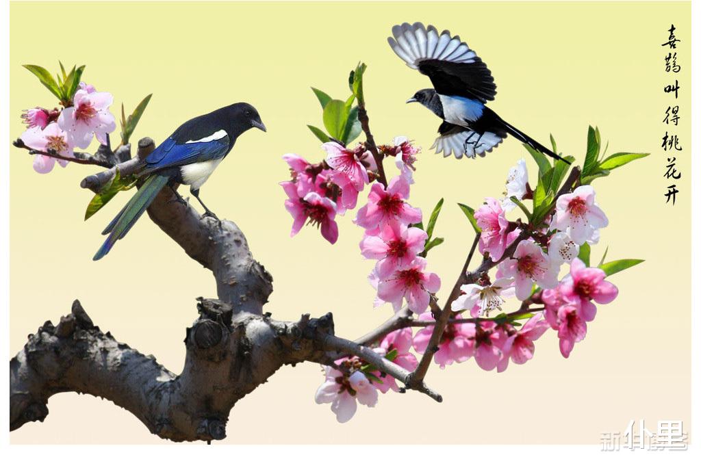 []6月上旬前后偏财运大旺，惊喜连连的3生肖，买不买彩票自己看