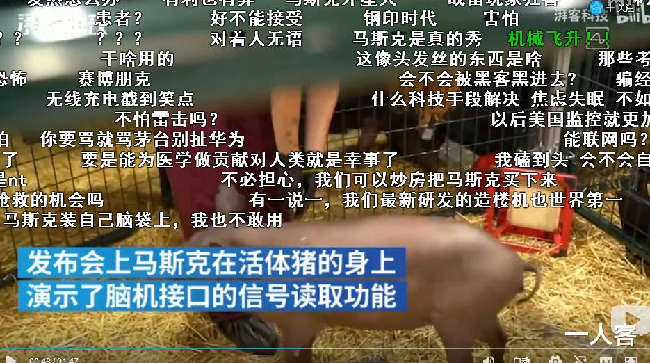 脑机接口|穷人末路到了？马斯克用猪演示脑机接口技术果然被营销号玩坏