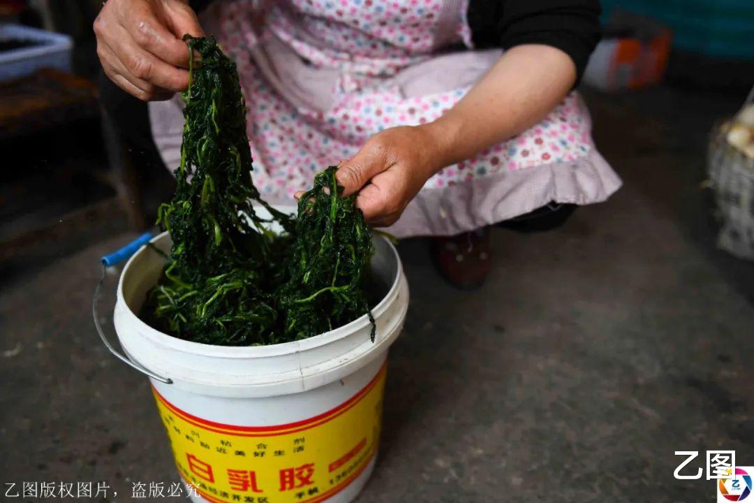 「农家乐」深山夫妻做农家乐数年，用泉水煮饭靠野菜撑场子，一年挣十多万