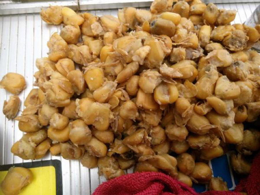 |这东西用来喂鸡有点浪费,用来钓鱼效果明显,如何用是关键