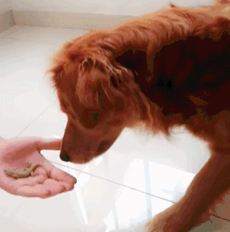 春夏穿搭|虽然只有背影，但是看起来好美