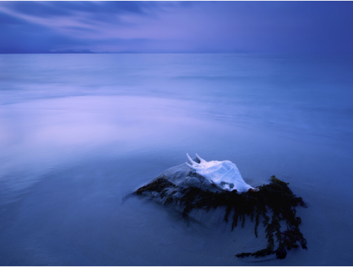 科学家|人死以后，真的永远消失了吗？科学家：死亡只是假象