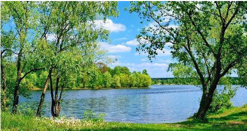 【运势】升职加薪！6月3号开始，贵人提携，财兴业旺，腰缠万贯3生肖