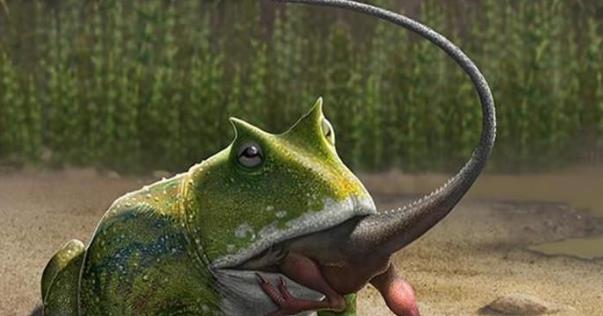 [恐龙]7000万年前与恐龙一同出现的魔鬼蛙，居然以恐龙为食，太强悍了