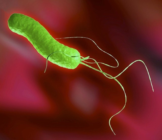 幽门螺杆菌|消化科医生：1种食物敞开吃，避免幽门螺杆菌感染，胃好不生病