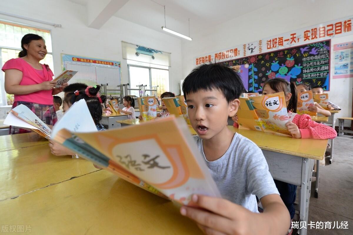 作文|语文成绩好的孩子，多半具备这5个特征，班主任：家长要尽早培养