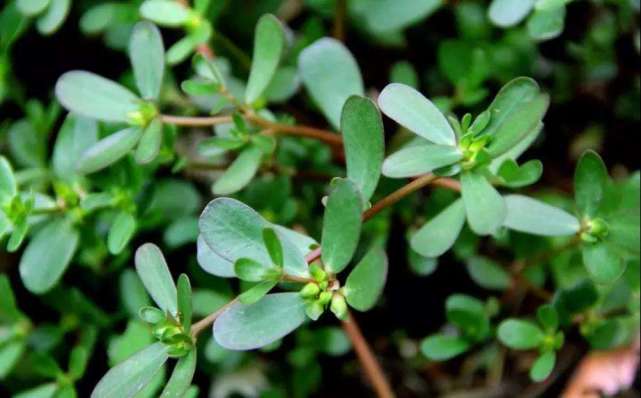 妇科疾病|女人下面“最怕”这5件事，尤其第一件，几乎每个女生都经常做