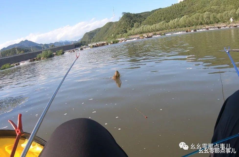 饵料|游钓北京那点事儿：深山浑水寻大鲶，这种饵料才对味儿！
