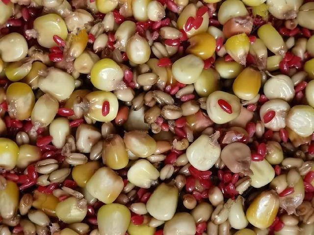 |【独家秘方】首次透露鲤鱼窝料制作全过程