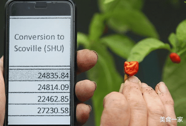 蚂蚁花呗|如果美国关闭中国windows, 我们该怎么样应对?
