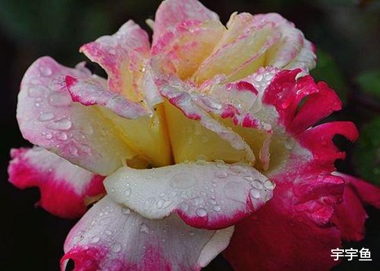 运势|9月份,好运势挡不住,4属相旺财旺运旺福,生活越过越好