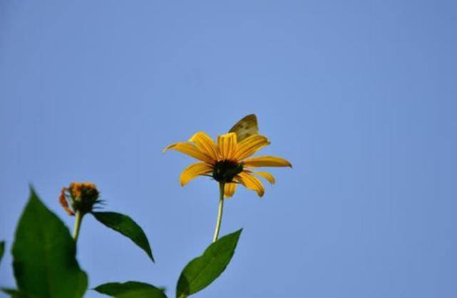 「生肖」7月开始有贵人相助，好运跑不了，熬到头了的四大生肖