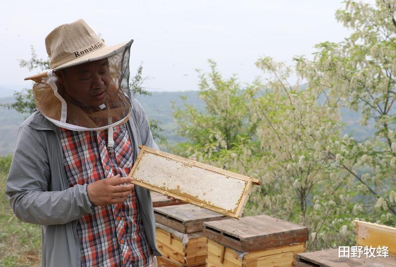 「蜂蜜」为什么喝蜂蜜会拉稀？喝了蜂蜜水拉肚子正常吗？