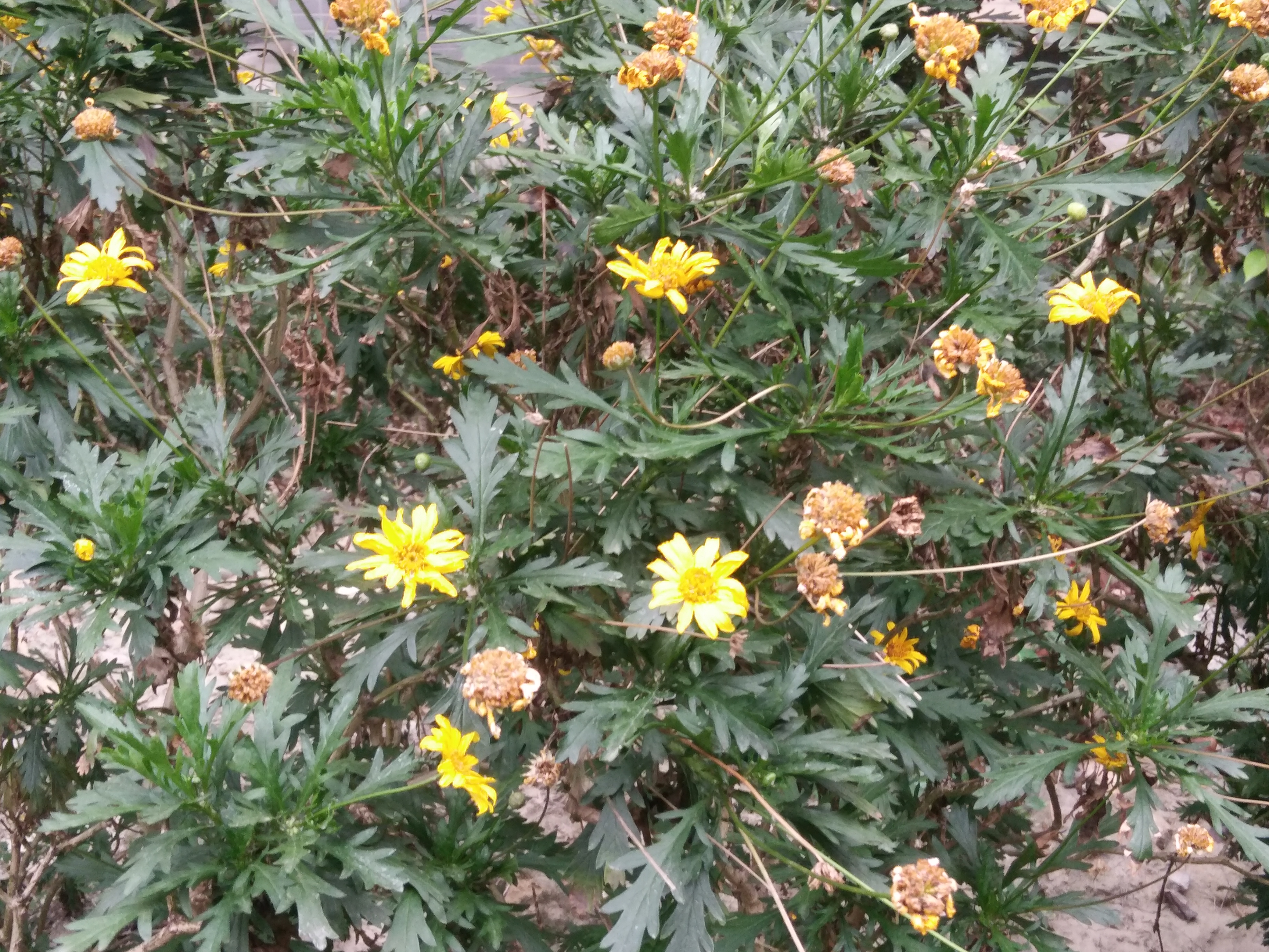 『高考』复读是一个人的兵荒马乱