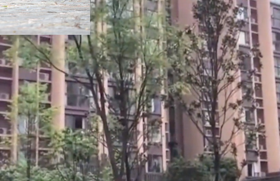 车迷 广西药监局局长坠楼不幸离世，事发前一天，她的儿子刚坠楼身亡