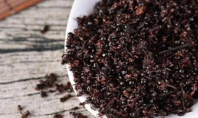 @吃蚂蚁“上瘾”地方，一口一个嘎嘣脆，网友：但凡有粒花生米也好