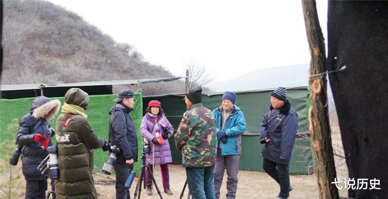 弋说历史|山西老汉意外发现“凤凰”,风雨无阻投喂4年,如今终于等来惊喜