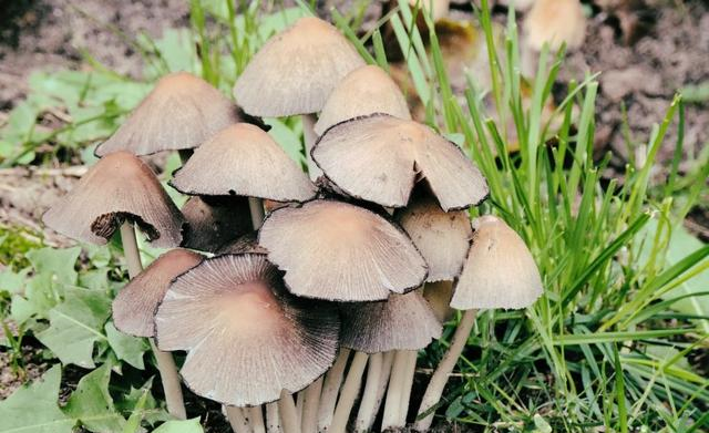 射手座|10月好运常伴，时来运转的4大星座，一切顺利，事业马到功成