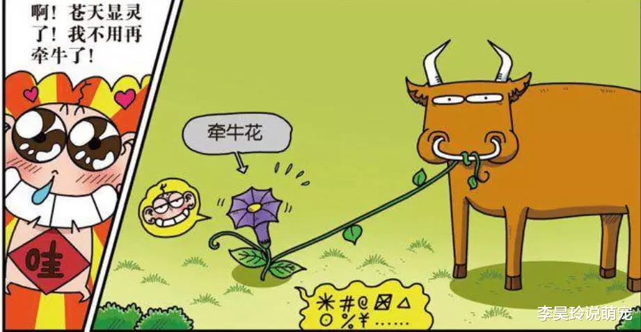 搞笑漫画：流星让呆头变得“貌美如花”！糖葫芦可以“骑”？