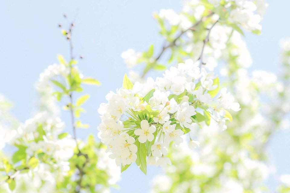 生肖|喜欢一个人就藏不住的星座，嘴上说着不在乎，行动却很诚实