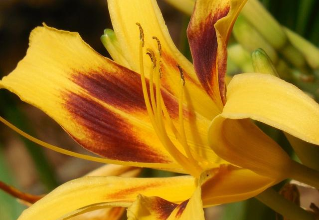 摩羯座|10月好运缠身，4大星座意外之财说来就来！前程似锦