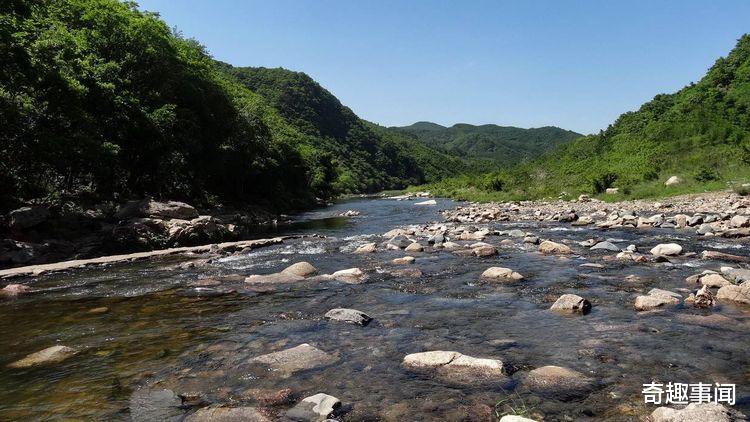 |生命力超强的蚂蟥，有着雌雄两套生殖器官，晒不死也切不死