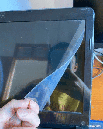 @“这是什么虫子,按它出现一对角,有甜甜的香味。”哈哈哈进化称霸地球