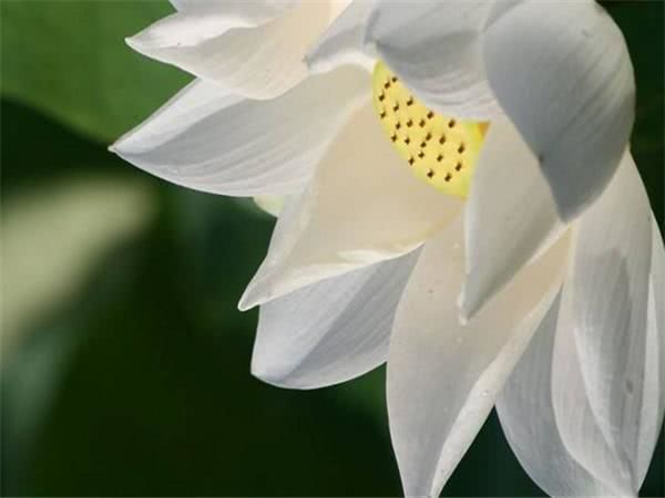 『天蝎座』老公属此3个生肖，一生操心少，享福多，越过越幸福