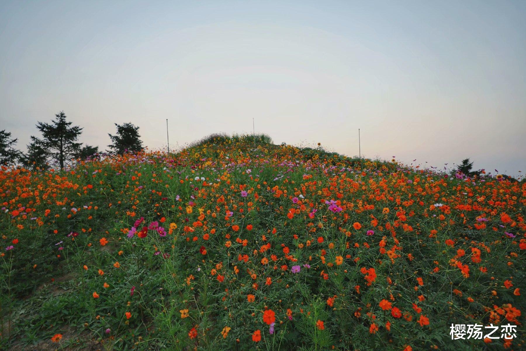 无锡|最“低调”的地级市，GDP破万亿，拥有4个5A级景区和27个4A级景区