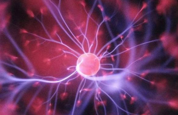 科学家|意识是什么?又从何而来?科学家已找到答案,意识并不玄妙!