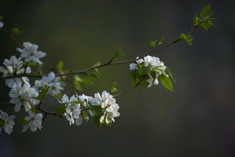 生肖|9月下旬，桃花依旧，旧情依旧，将会发现眼前真爱的四大星座