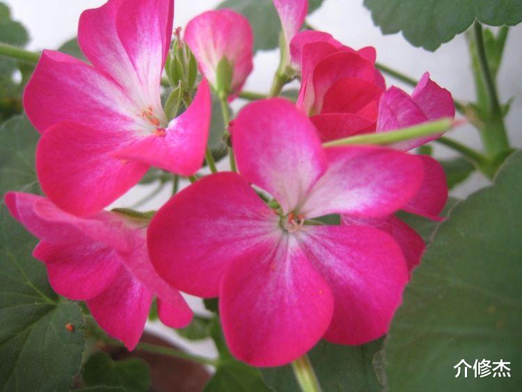 射手座|9月份开始，姻缘将近，邂逅真爱，百年好合的4大星座