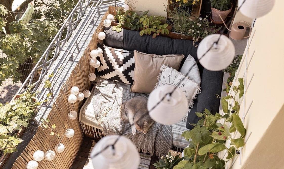 |德国女摄影师的66平小家,羡煞旁人!全屋被绿植包围,看着超治愈