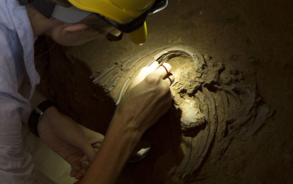 [尼安德特人]研究发现，新冠病毒可能是6万年前尼安德特人传下来的