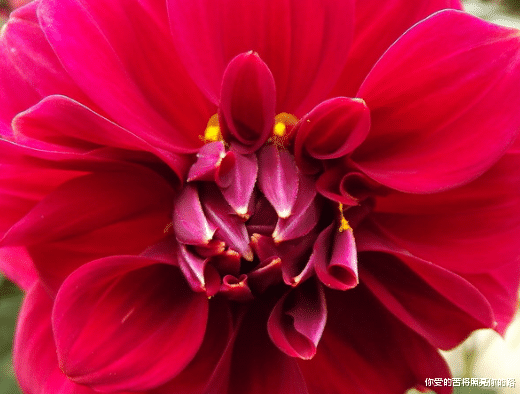 运势|步入9月，4属相开门大吉，财源滚滚运势旺，步步高升，生活幸福