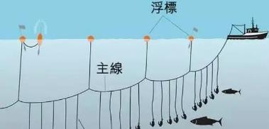 @解读武汉长江段10年全面禁捕：4种钓鱼方式禁止，台钓也不例外！