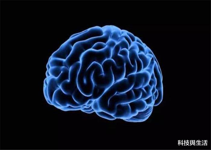 「科学家」人类3岁前的记忆全消失了，究竟被谁偷走了？科学家给出答案！