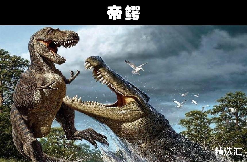 爬行动物|比巨齿鲨还要更加可怕的10个史前生物