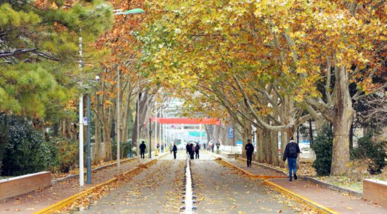 大学|不出所料!这个省每年都有两所211大学断档,考生:后悔没报!