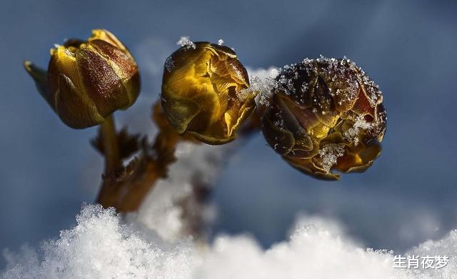 生肖|8月，一路发财，收入暴涨，事业一帆风顺，喜笑颜开的4大生肖
