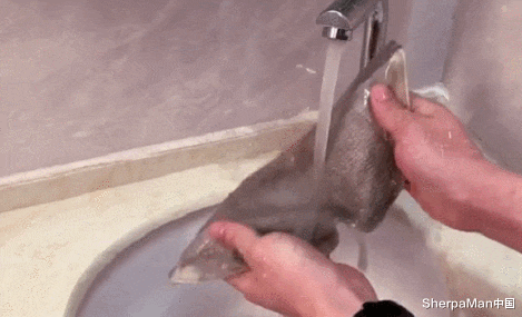 小米科技|中国人真有钱!1799的小米看不上,4299“杂牌”抢着买