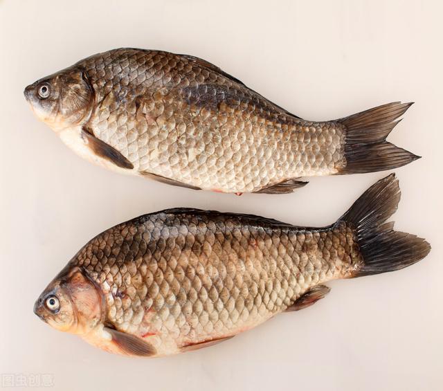 鲫鱼|野钓鲫鱼：立冬之前，谨记这6不钓---皇禾渔具