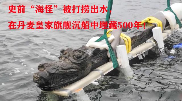 考古学家|史前“海怪”被打捞出水，在丹麦皇家旗舰沉船中埋藏500年