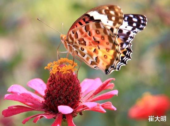 『属蛇』7月中旬开始财运转旺，4属相钱财万贯，横财不断，越来越有钱