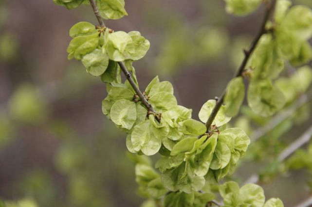 属狗|8月28号起,人生迎来上上签,3生肖进步大,赚钱多,幸福惹人羡