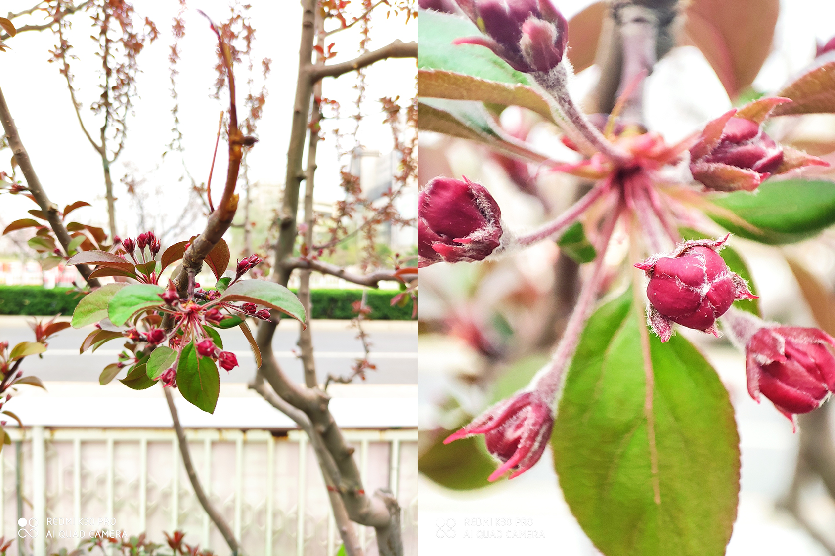 小米科技■红米K30 Pro评测：相比小米10，它有这几个惊喜